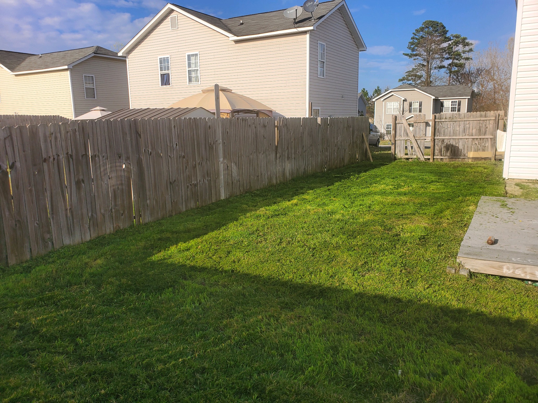 Backyard Weed Control after