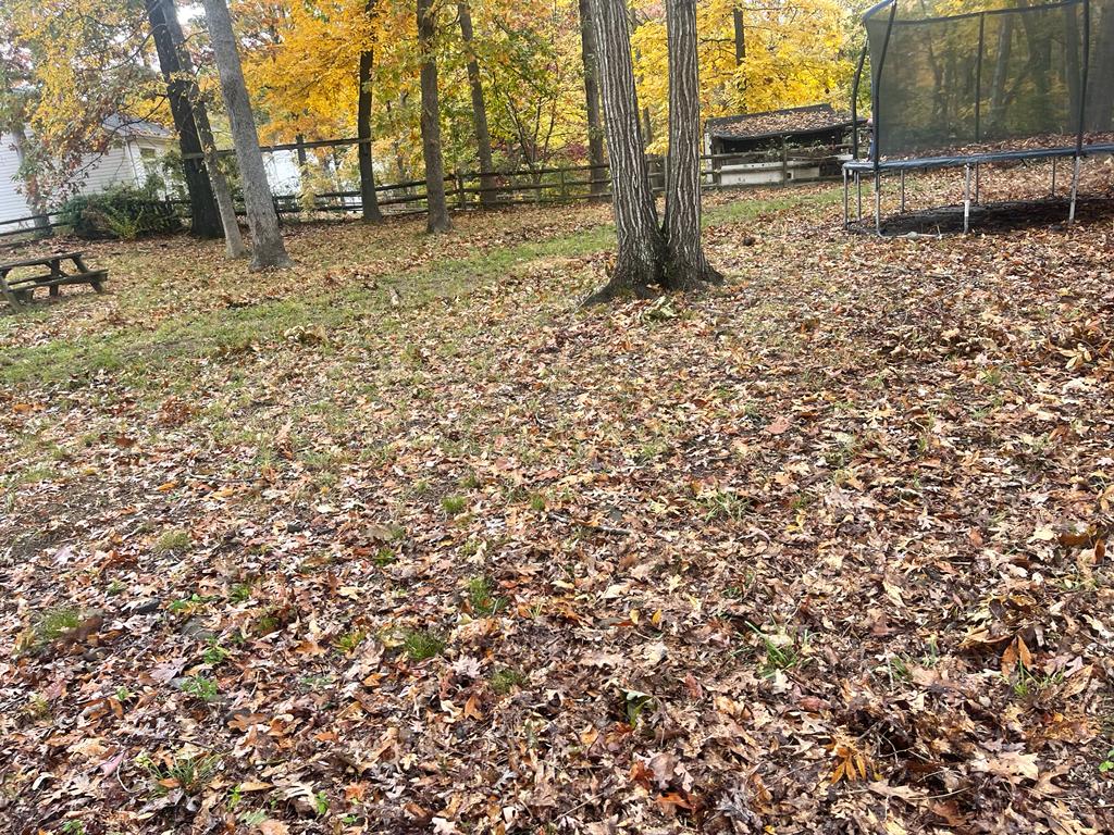 Fall Leaf Removal before