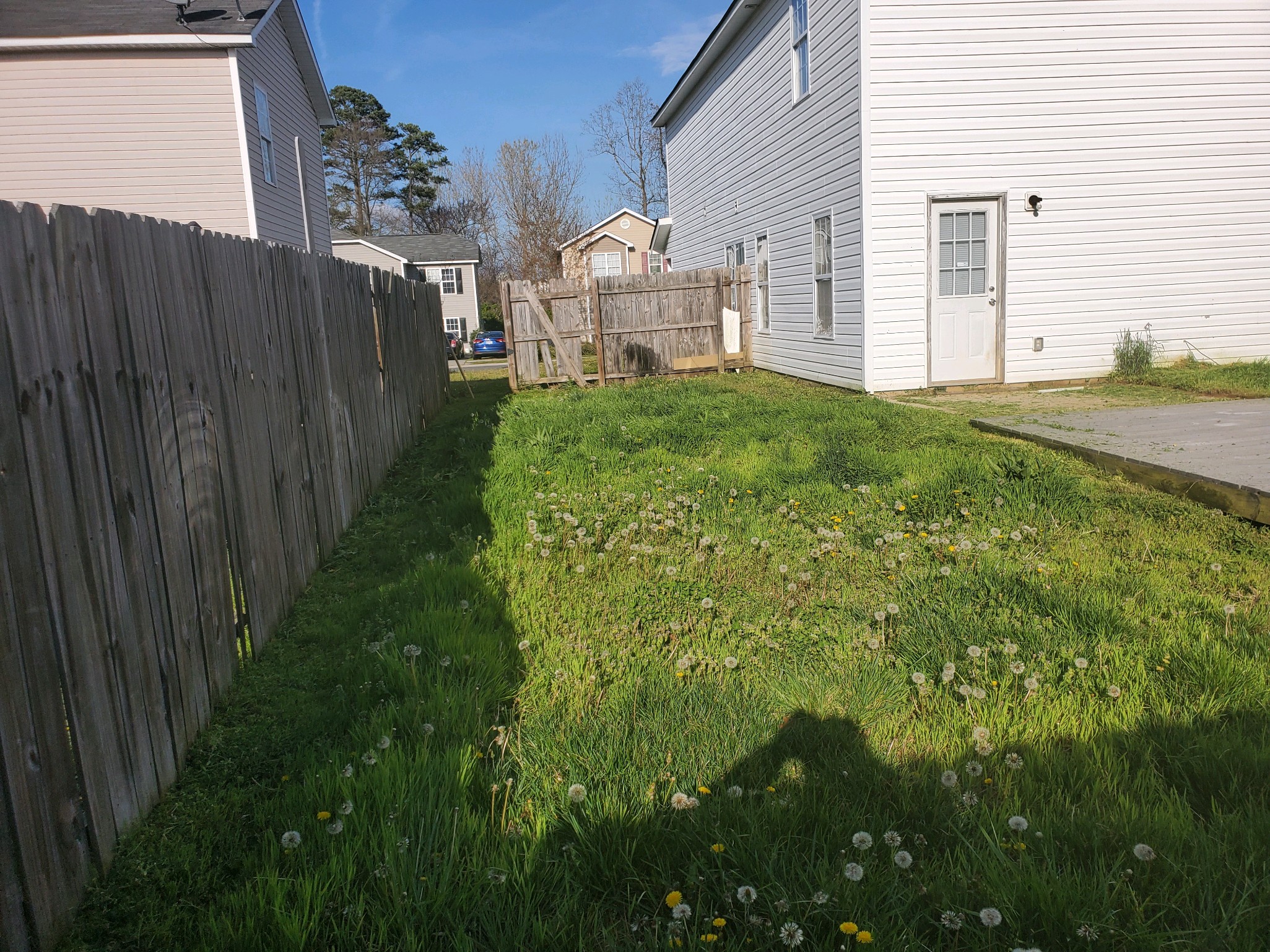 Backyard Weed Control before