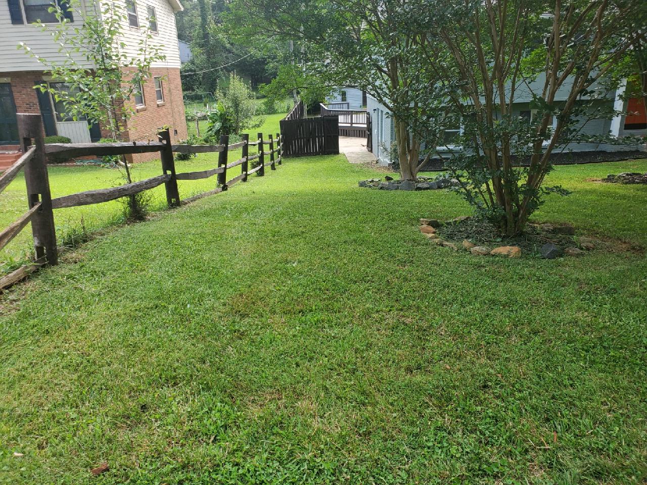 Backyard with wooden fence and well-maintained grass