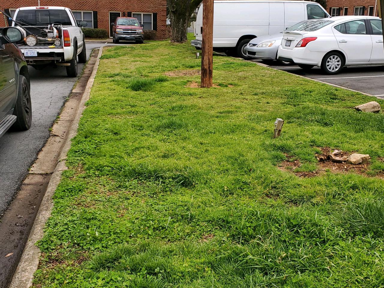 Commercial property with maintained green space