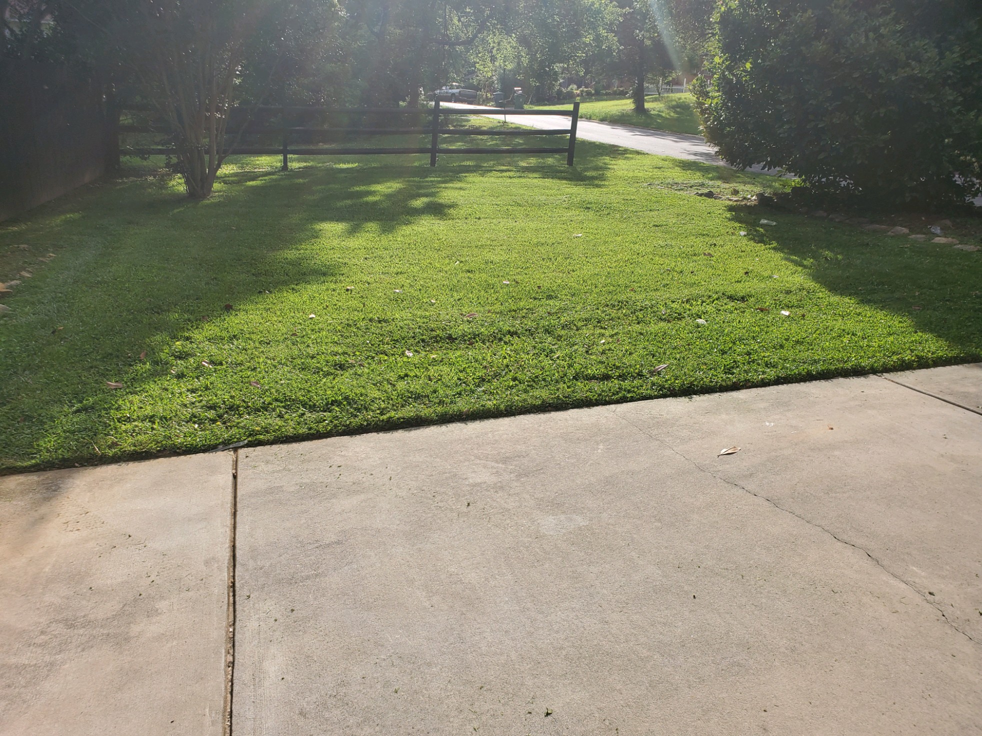 Lawn project 3