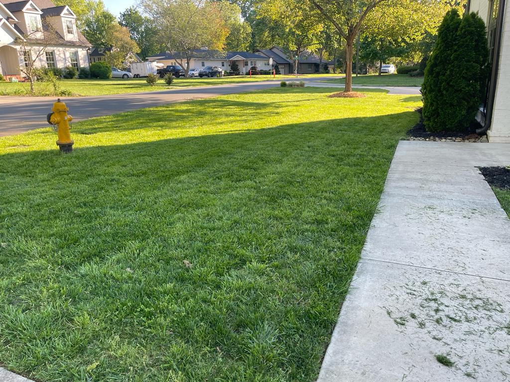 Lawn project 6