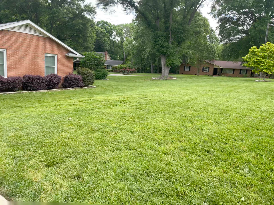 Beautiful expansive lawn with freshly cut grass and landscaped shrubs